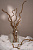 Ваза Лёд